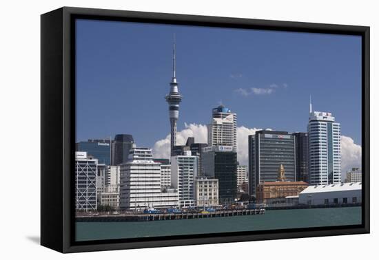Auckland Sky Tower and City Skyline, North Island, New Zealand, Pacific-Matthew Williams-Ellis-Framed Premier Image Canvas