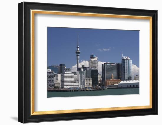 Auckland Sky Tower and City Skyline, North Island, New Zealand, Pacific-Matthew Williams-Ellis-Framed Photographic Print