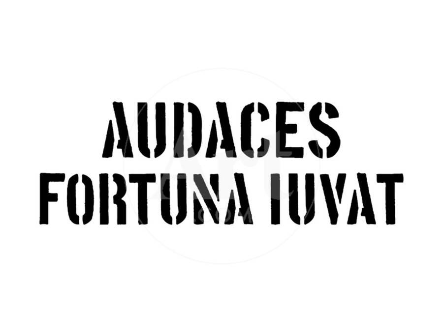 audaces fortuna juvat versos de amor