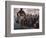 Audience Gathers to Watch a Dancer in a Two-Piece Costume at the Iowa State Fair, 1955-John Dominis-Framed Photographic Print