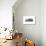 Audio Cassette Tape-Victor De Schwanberg-Photographic Print displayed on a wall