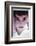 Audrey Hepburn, 1954-null-Framed Photographic Print