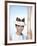 Audrey Hepburn 1964-null-Framed Photo