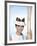 Audrey Hepburn 1964-null-Framed Photo