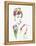 Audrey Hepburn 2-NaxArt-Framed Stretched Canvas