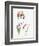 Audrey Hepburn 2-NaxArt-Framed Art Print