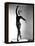 Audrey Hepburn, Ca. 1952-null-Framed Stretched Canvas