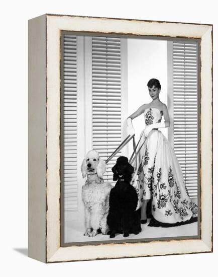 Audrey Hepburn, Sabrina, 1954-null-Framed Premier Image Canvas