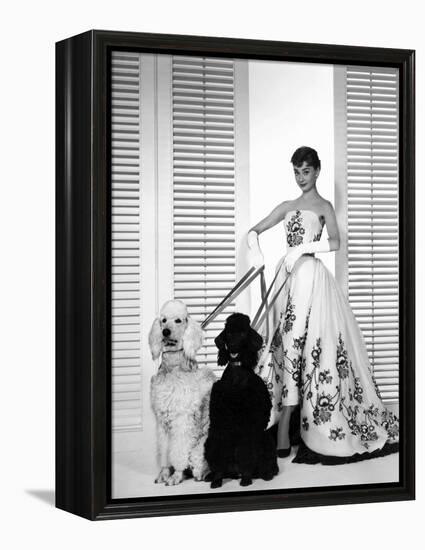 Audrey Hepburn, Sabrina, 1954-null-Framed Premier Image Canvas