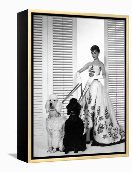 Audrey Hepburn, Sabrina, 1954-null-Framed Premier Image Canvas