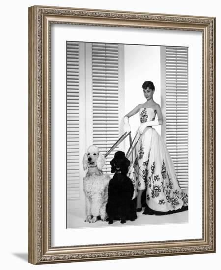 Audrey Hepburn, Sabrina, 1954-null-Framed Photographic Print