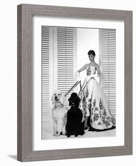 Audrey Hepburn, Sabrina, 1954-null-Framed Photographic Print