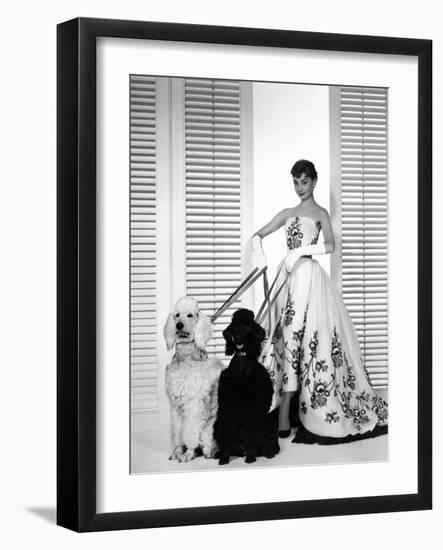 Audrey Hepburn, Sabrina, 1954-null-Framed Photographic Print