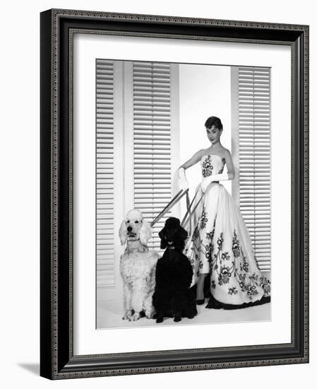 Audrey Hepburn, Sabrina, 1954-null-Framed Photographic Print