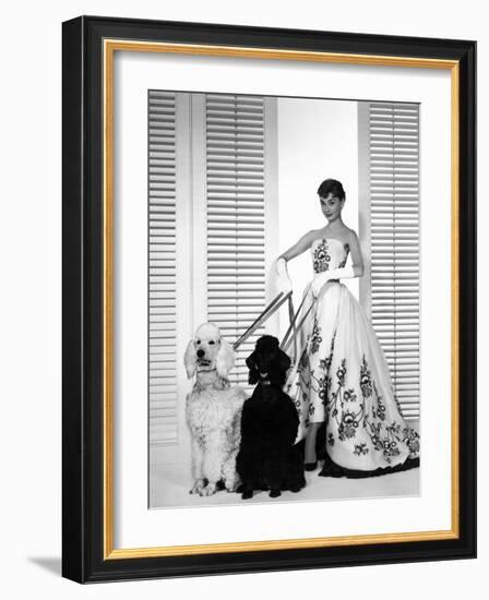 Audrey Hepburn, Sabrina, 1954-null-Framed Photographic Print