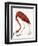 Audubon: American Flamingo-John James Audubon-Framed Giclee Print