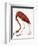 Audubon: American Flamingo-John James Audubon-Framed Giclee Print