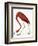 Audubon: American Flamingo-John James Audubon-Framed Giclee Print