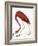 Audubon: American Flamingo-John James Audubon-Framed Giclee Print