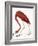 Audubon: American Flamingo-John James Audubon-Framed Giclee Print