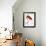 Audubon: American Flamingo-John James Audubon-Framed Giclee Print displayed on a wall