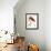 Audubon: American Flamingo-John James Audubon-Framed Giclee Print displayed on a wall