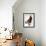 Audubon: Bald Eagle-John James Audubon-Framed Giclee Print displayed on a wall