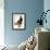 Audubon: Bald Eagle-John James Audubon-Framed Giclee Print displayed on a wall