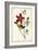 Audubon Bird & Botanical I-John James Audubon-Framed Art Print