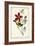 Audubon Bird & Botanical I-John James Audubon-Framed Art Print