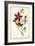 Audubon Bird & Botanical I-John James Audubon-Framed Art Print