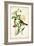 Audubon Bird & Botanical II-John James Audubon-Framed Art Print