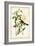 Audubon Bird & Botanical II-John James Audubon-Framed Art Print