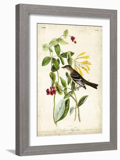 Audubon Bird & Botanical II-John James Audubon-Framed Art Print