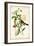 Audubon Bird & Botanical II-John James Audubon-Framed Art Print