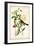 Audubon Bird & Botanical II-John James Audubon-Framed Art Print