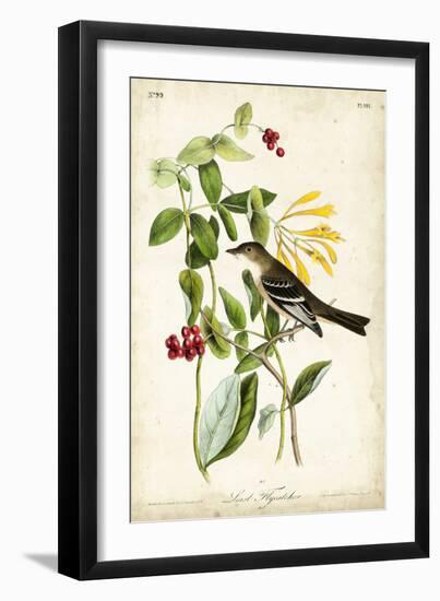 Audubon Bird & Botanical II-John James Audubon-Framed Art Print