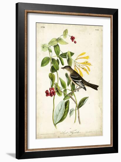 Audubon Bird & Botanical II-John James Audubon-Framed Art Print