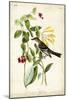 Audubon Bird & Botanical II-John James Audubon-Mounted Art Print