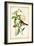 Audubon Bird & Botanical II-John James Audubon-Framed Art Print