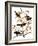 Audubon: Blackbird, 1827-John James Audubon-Framed Giclee Print