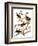 Audubon: Blackbird, 1827-John James Audubon-Framed Giclee Print