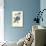 Audubon Blue Jays-John James Audubon-Premium Giclee Print displayed on a wall