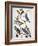 Audubon: Bluebirds-John James Audubon-Framed Premium Giclee Print