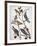 Audubon: Bluebirds-John James Audubon-Framed Premium Giclee Print