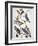 Audubon: Bluebirds-John James Audubon-Framed Giclee Print