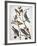 Audubon: Bluebirds-John James Audubon-Framed Giclee Print