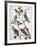 Audubon: Bluebirds-John James Audubon-Framed Giclee Print