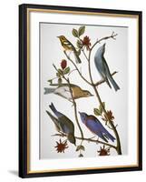 Audubon: Bluebirds-John James Audubon-Framed Giclee Print
