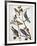 Audubon: Bluebirds-John James Audubon-Framed Giclee Print